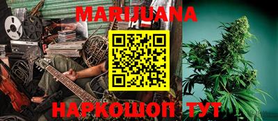 трава Кандалакша