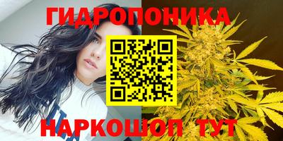 бошки Канаш