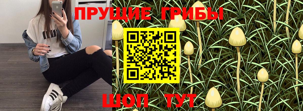 что такое   Вход с VPN  Орехово-Зуево  Псилоцибиновые грибы Cubensis  Галлюциногенные грибы прущие грибы 